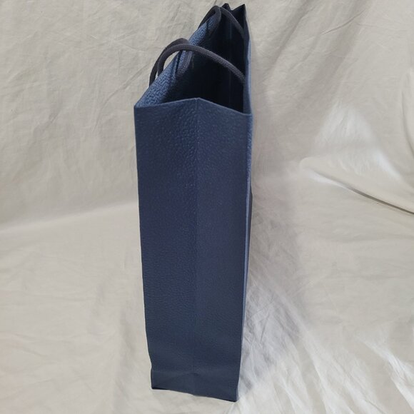 Dior Blue Textured Gift Bag Empty Logo Spell Out Bug Reusable Decorative Craft - Picture 4 of 15